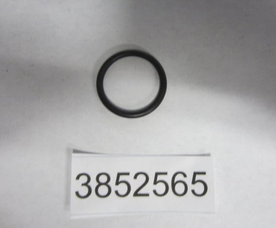 EVINRUDE JOHNSON 3852565 - O-Ring