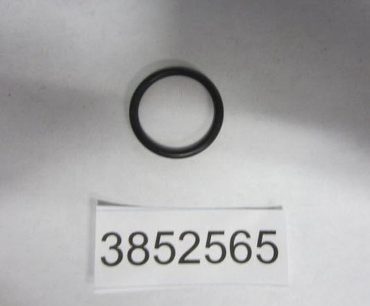 EVINRUDE JOHNSON 3852565 - O-Ring