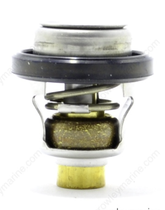 EVINRUDE JOHNSON 5031758 - Thermostat 60