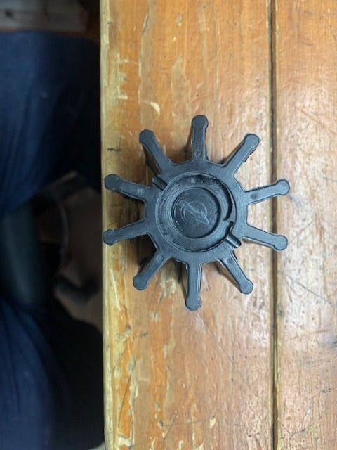 IMPELLER COBRA 3058 983895